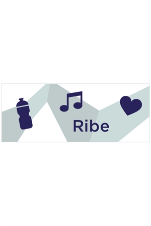 Hegnsbanner 220x87, Ribe